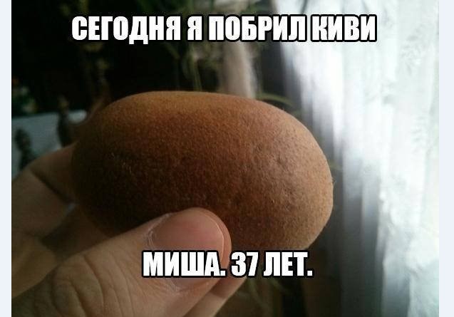 Картинки и мемы для настроения 018