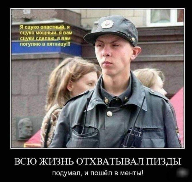 Картинки 24 шт. (вроде)