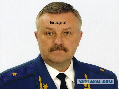 Депутат подумал, что сбил собаку, а не человека...
