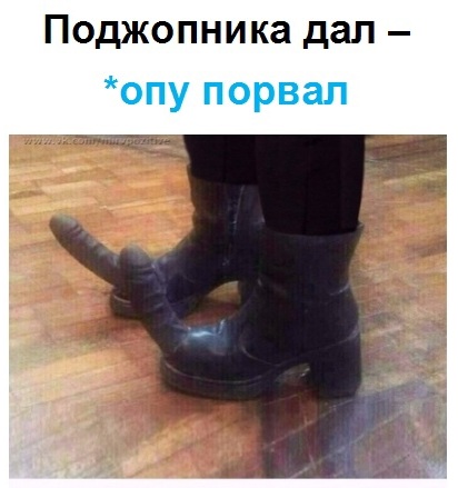 Весёлый полтишок 5.08.21