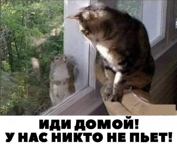 Картинки и мемы, всем прекрасных выходных