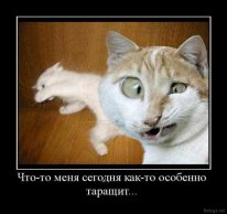 Ревнивец избил и ограбил бывшую на рабочем месте в Уфе