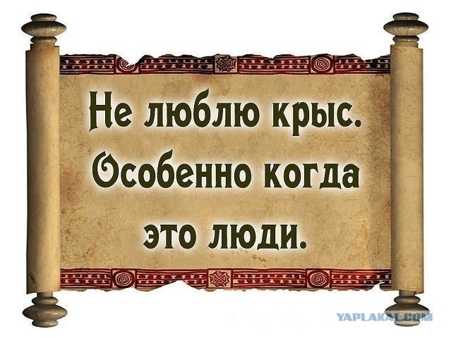 "Полк Азов - потрясающие люди" - А. Невзоров.