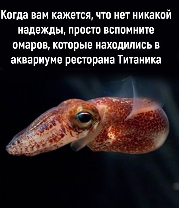 Так себе картинки 29.03.22