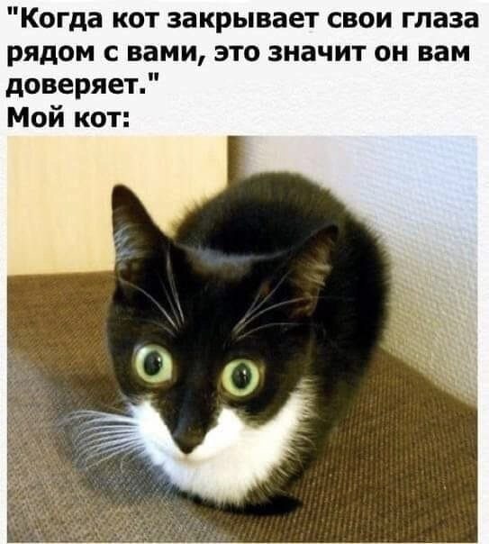 Картинки аморальные и всякие разные - 27