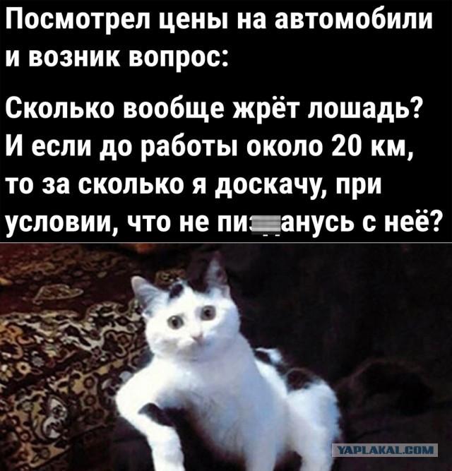 Так себе картинки 31.05.22