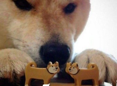 Об одних Ивановых