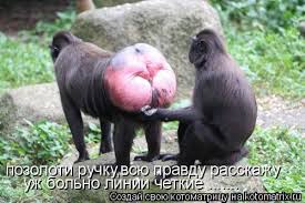 Почему женщина не кончает от секса
