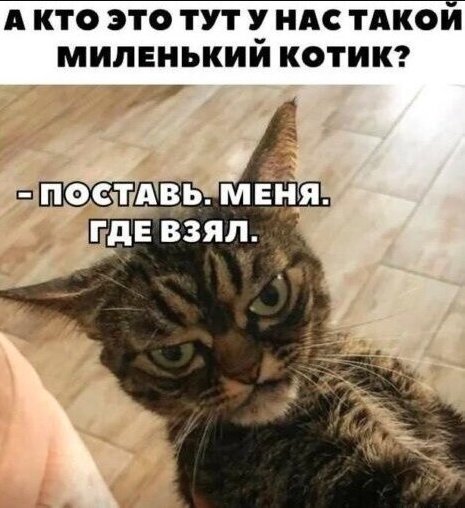 Cмешно