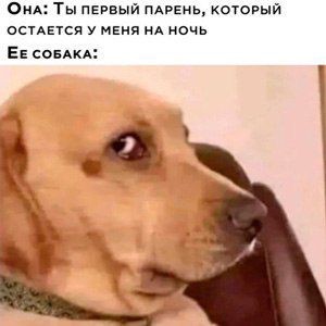 Всякой Хни вам в ленту, дорогие деграданты