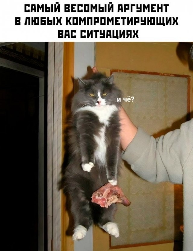 Среда пришла - неделя прошла, дорогие деграданты