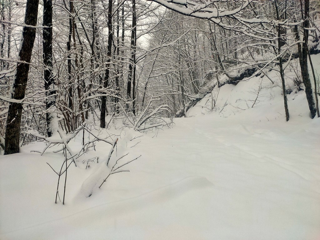 Послеобеда. Капучино и круассан. Послеобеда. Послеобеда. Чашка латте цветок.