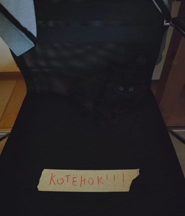 Чуток картинок