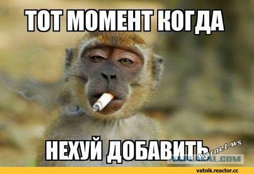 Большая семья