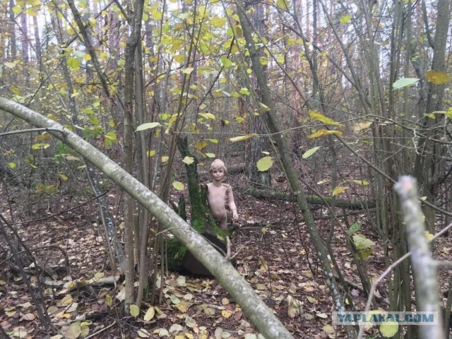 16 фотографий на которых творится какая то дичь