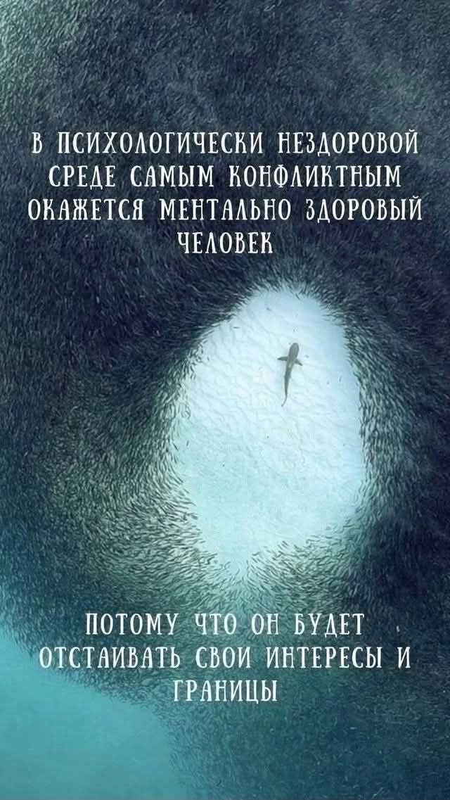 Прикольные и просто красивые картинки 21.03.2025