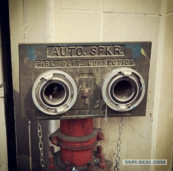 Прадедушка Wall-E