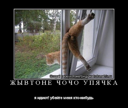 10-ка ещё одна картинок для падонгов