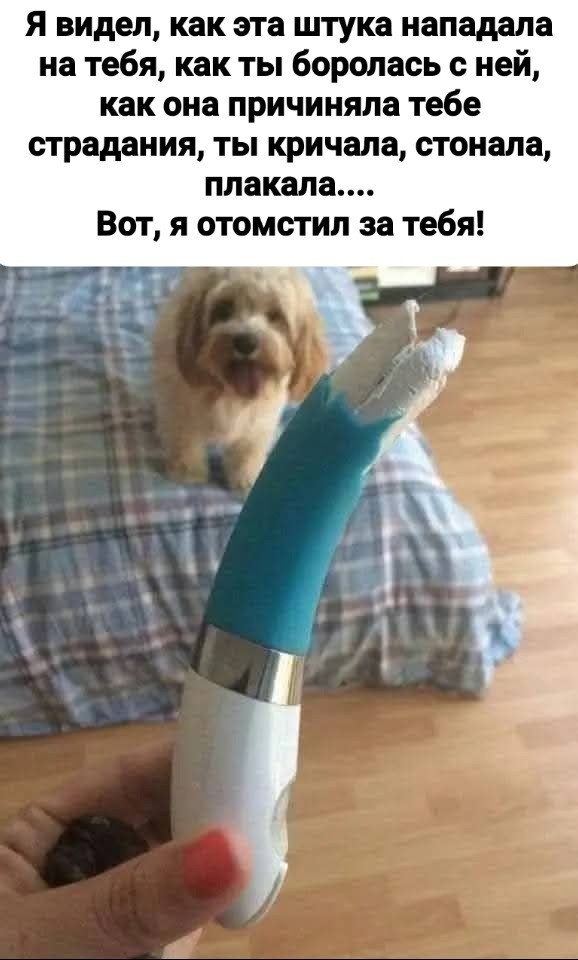 Маленькая пятница 26.11