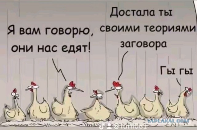 Так себе картинки 06.12.25