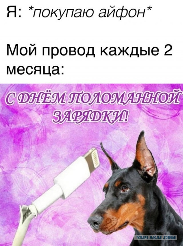Веселые картинки в пятницу (19.12)