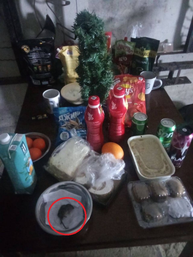 Пока мы отмечали Новый Год дома