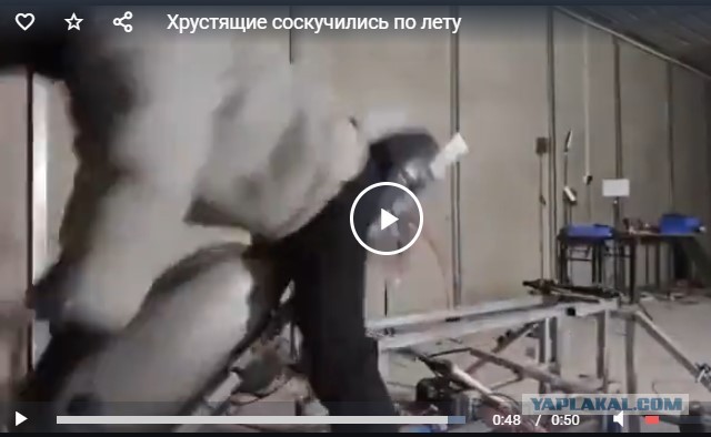 Хрустящие соскучились по лету