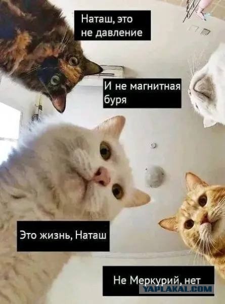 А что, если прав ты, а не они? А не переломить ли мне всю свою жизнь?