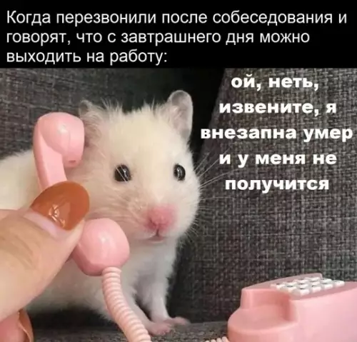 Картиночки, баянчики 16 февраля