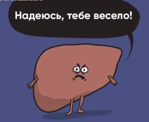 Печень.