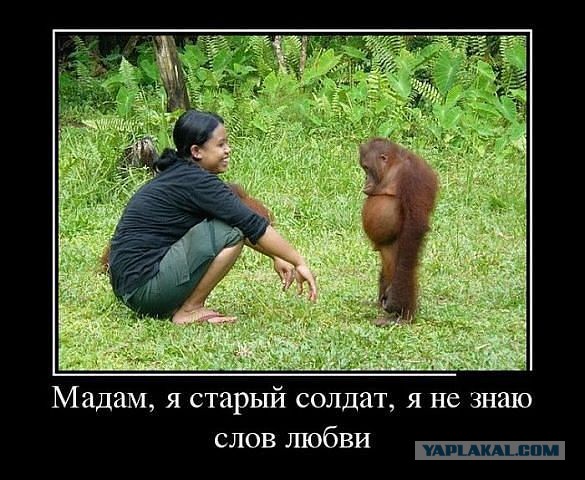 Эпическое признание в любви...