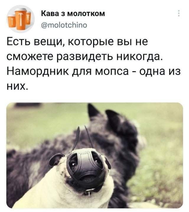 Картинки для деградации 220 (разной степени свежести)