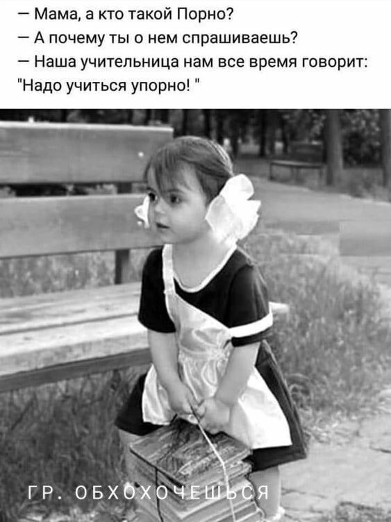 Картинки. Баяны и аккордеоны