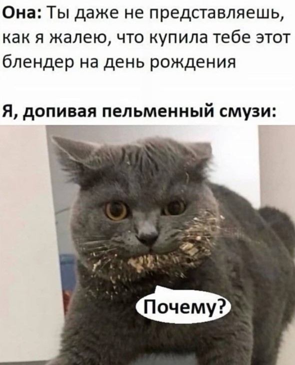Картинки для деградации 261 (разной степени свежести)
