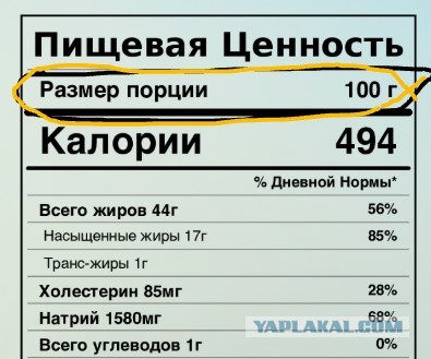 ЯП Образовательный: Ожирение