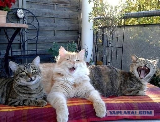 Не украли а подобрали!