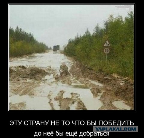 "Зеленые ростки" прозрения