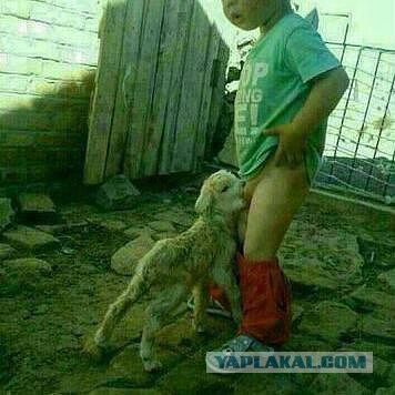 Жесткий пиздец из Ингушетии