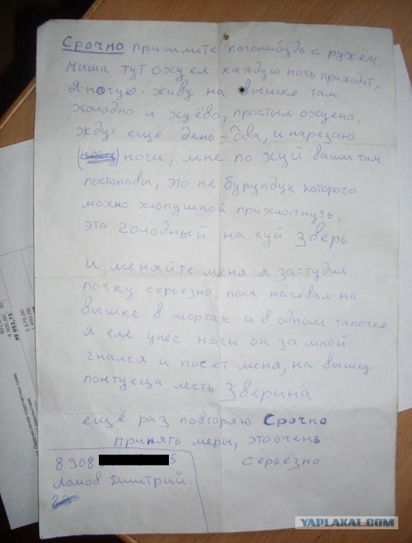 Всё пропало!