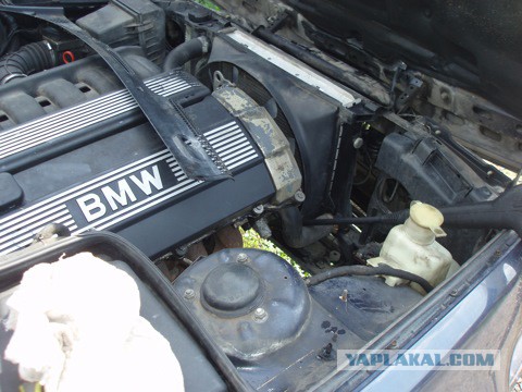 Рукожопство и BMW