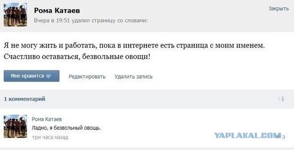 Грамматнасть и нтилехт вконтактовских обитателей