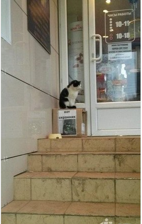 Котовторник 27.5.2014