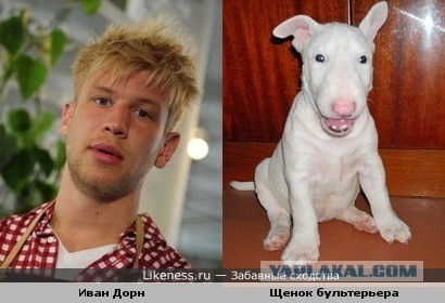 Виталий Милонов запретит Ивана Дорна в России