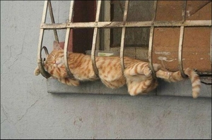 Чёрт, чёрт, чёрт!