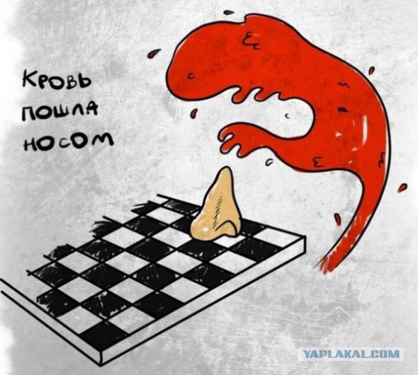 Картинки, которые перевернут мир с ног на голову