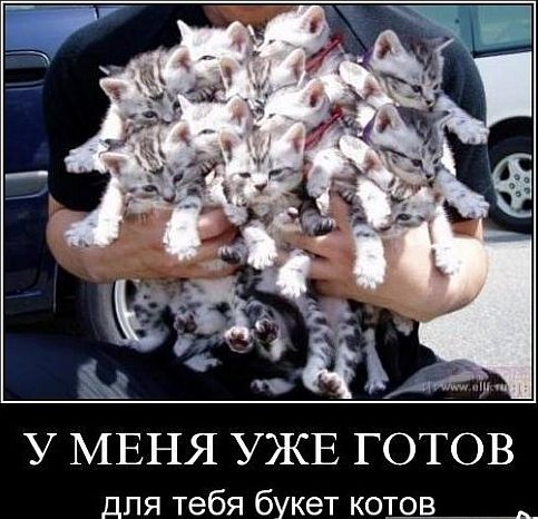 Популярные мемы на ЯПе