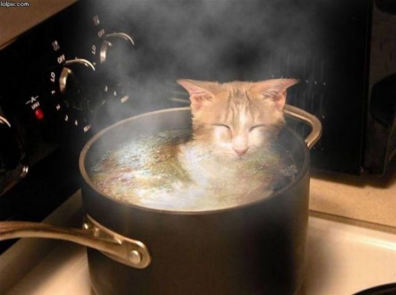 На внимательность