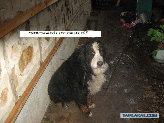 Мой опыт строительства экологичного ДОМА!