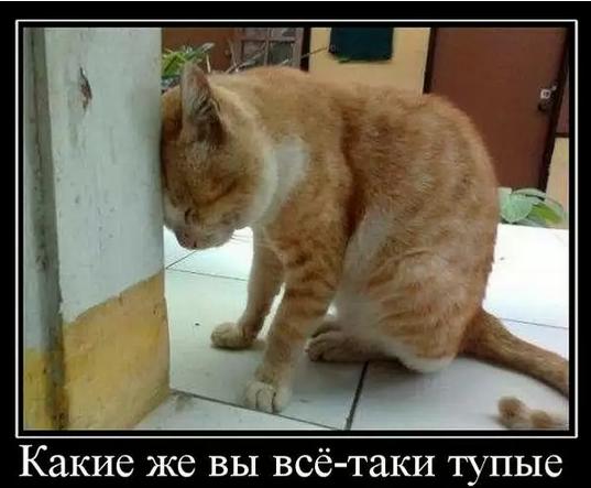 Приуныла