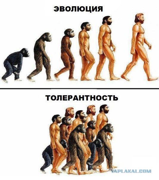 Южане обиделись, что их не пропустили....